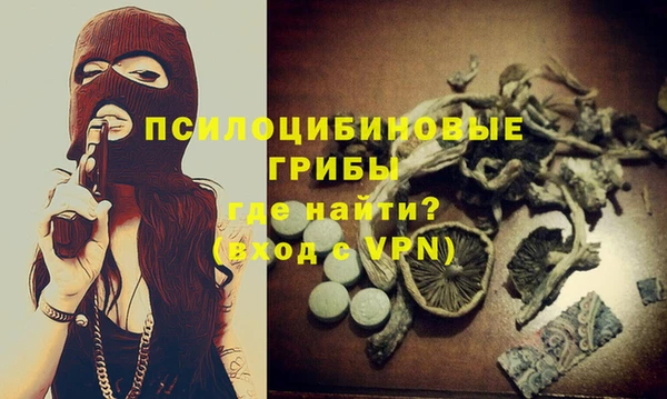 ГАЛЛЮЦИНОГЕННЫЕ ГРИБЫ Балахна