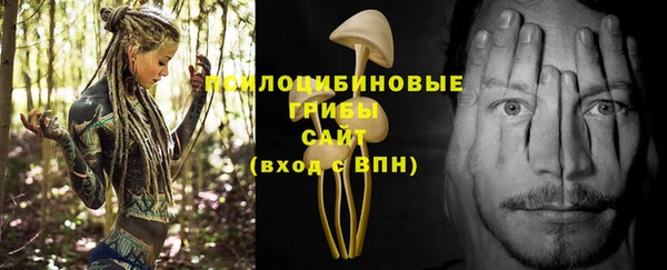 ALPHA PVP Баксан