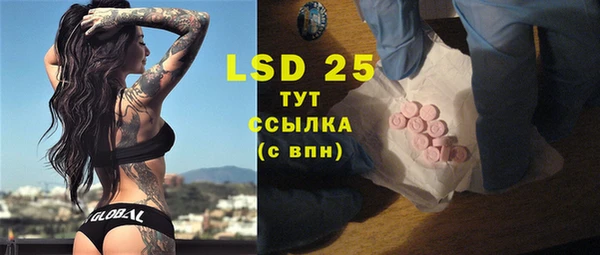 ГАЛЛЮЦИНОГЕННЫЕ ГРИБЫ Балахна