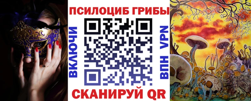 shop телеграм  Шагонар  Галлюциногенные грибы мицелий 