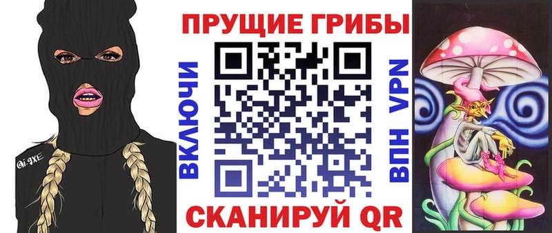 Галлюциногенные грибы GOLDEN TEACHER Шагонар