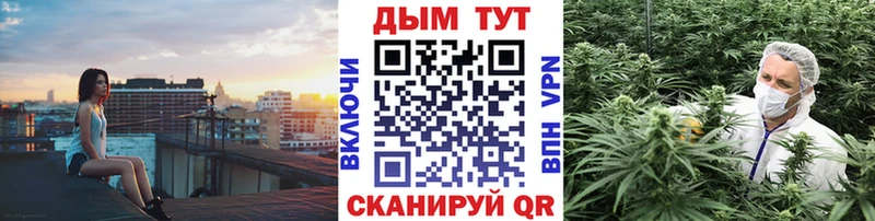 продажа наркотиков Шагонар МЕГА ссылки Конопля сатива